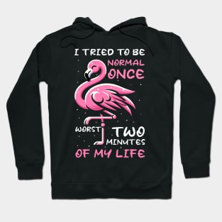 Funny Flamingo I Tried To Be Normal Once Worst Two Minutes Of My Life Hoodie